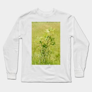 ibs tulip tree Long Sleeve T-Shirt